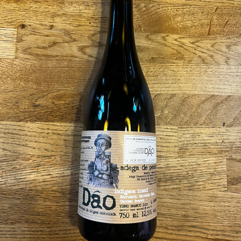 Dao Indigena White, Adega de Penalva, 2023, Portugal