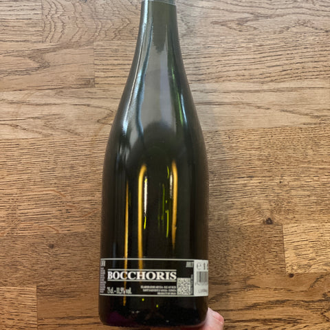 Cava Brut, Bocchoris, NV, Spain