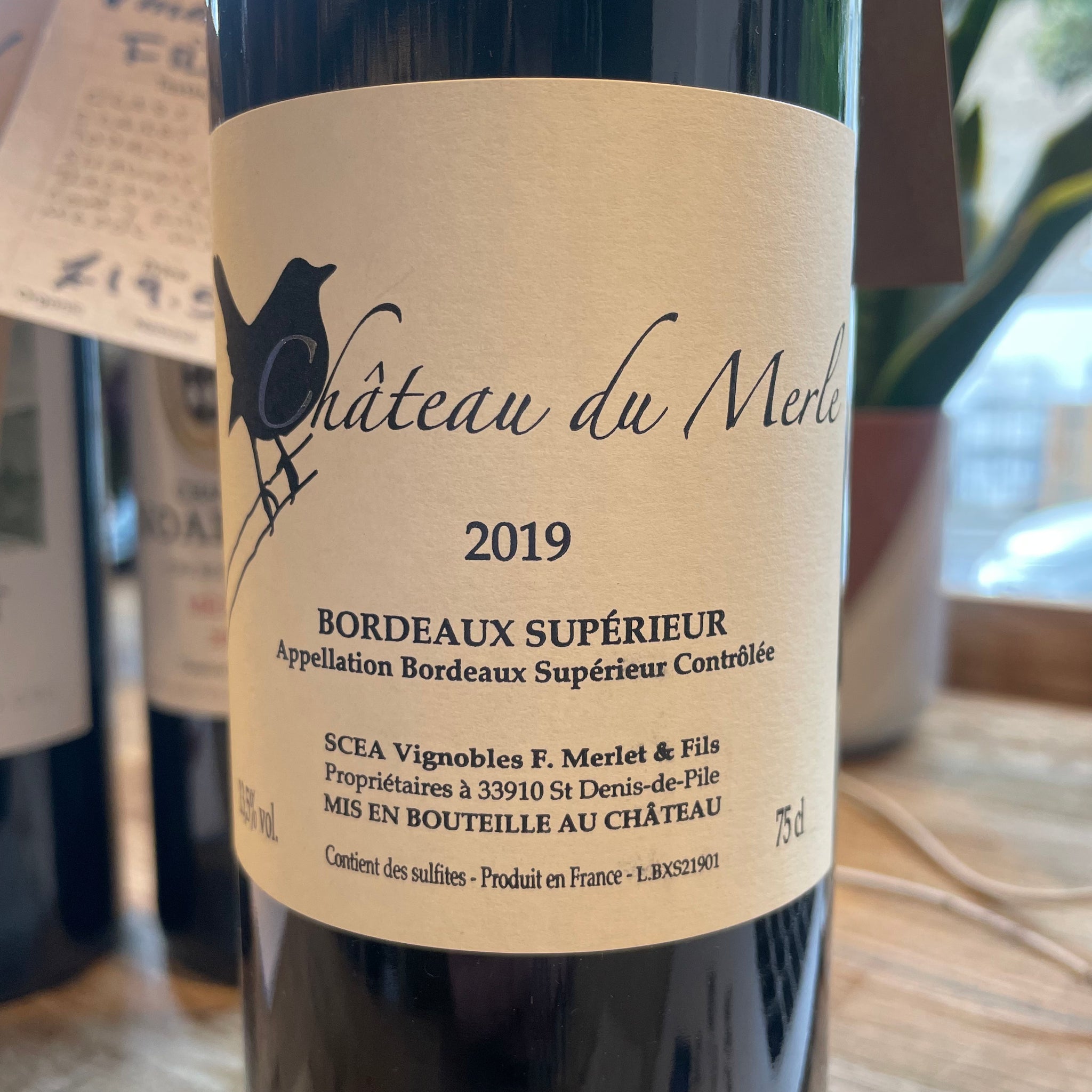 Red Merle Noir 2019 France (V)