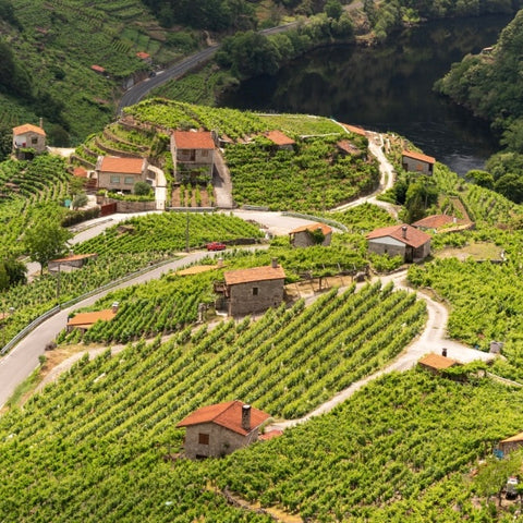 Taste Galicia! 20th of May, 7pm @ Vindinista