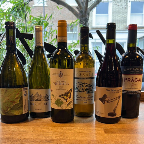 'Don't Look Back in Anger' Mixed Case of Six Wine - Vindinista