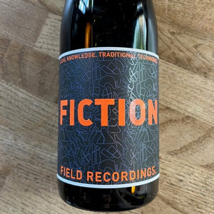 Fiction 2020, Field Recordings, USA - Vindinista